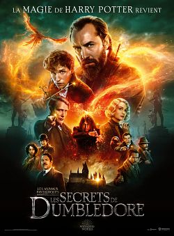 les-animaux-fantastiques-les-secrets-de-dumbledore-french-hdcam-md-v2-1080p-2022